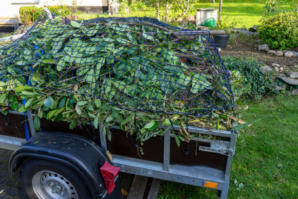 Best Dumpster Rental Services  in Merrionette Park, IL